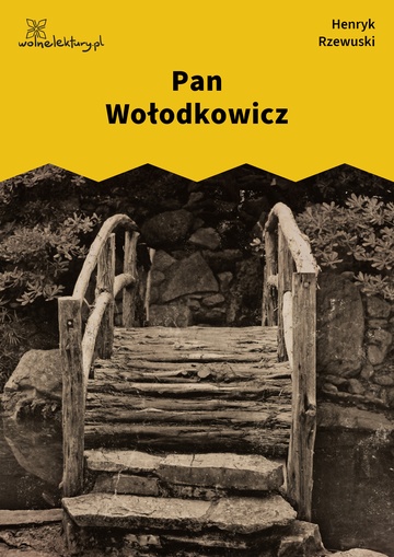 Henryk Rzewuski, Pamiątki Soplicy, Pan Wołodkowicz 