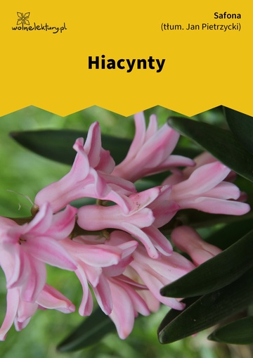 Hiacynty