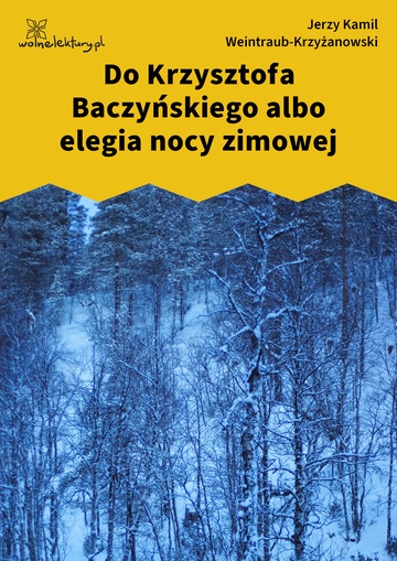 Do Krzysztofa Baczyńskiego albo elegia nocy zimowej