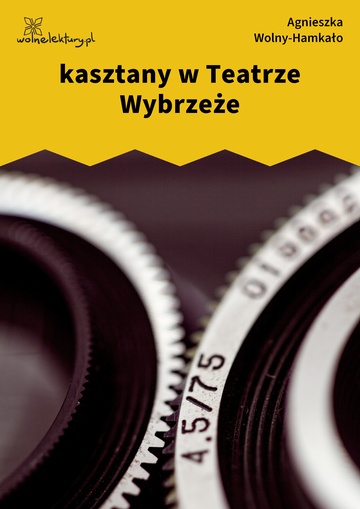 Agnieszka Wolny-Hamkało, Nikon i Leica, kasztany w Teatrze Wybrzeże
