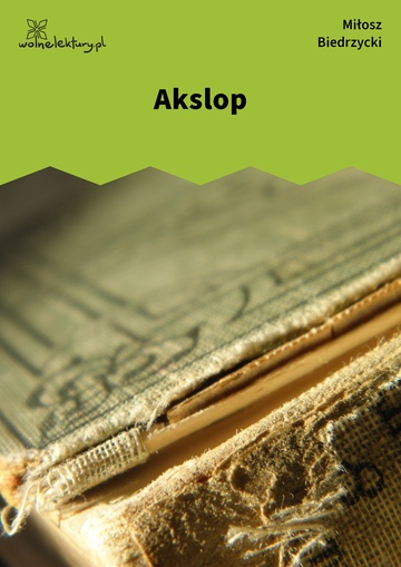 Miłosz Biedrzycki, Akslop