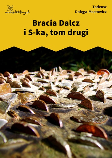 Bracia Dalcz i S-ka, tom drugi