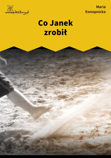 Maria Konopnicka, Poezje dla dzieci do lat 7, część I, Co Janek zrobił