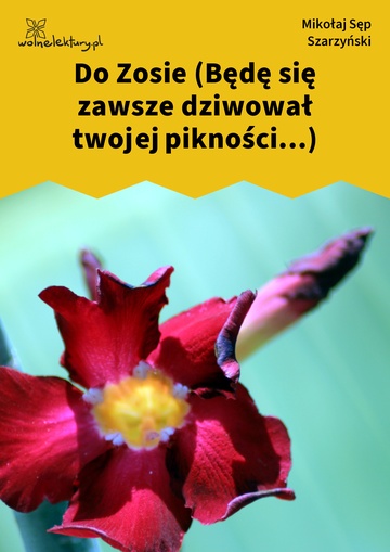 Mikołaj Sęp Szarzyński, Do Zosie (Będę się zawsze dziwował twojej pikności...)