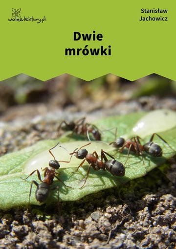 Stanisław Jachowicz, Bajki i powiastki, Dwie mrówki