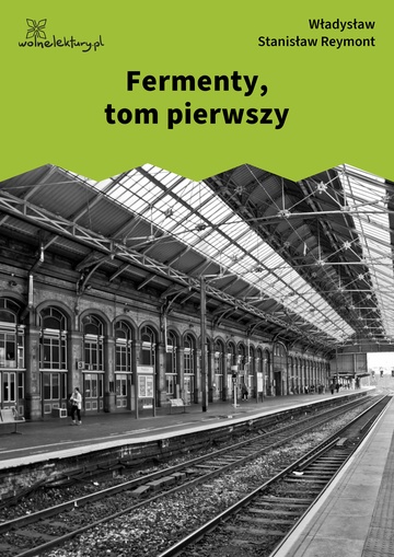 Władysław Stanisław Reymont, Fermenty, Fermenty, tom pierwszy
