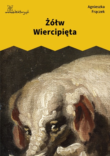 Agnieszka Frączek, Żółw Wiercipięta i inne zwierzęta, Żółw Wiercipięta