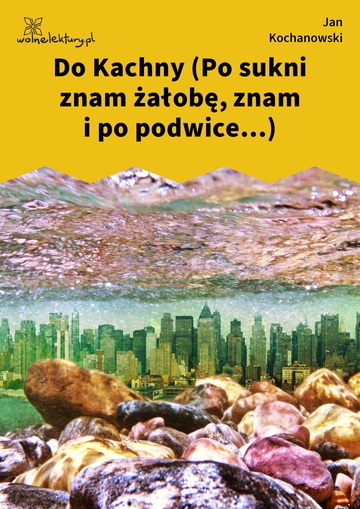 Jan Kochanowski, Fraszki, Księgi trzecie, Do Kachny (Po sukni znam żałobę, znam i po podwice...)