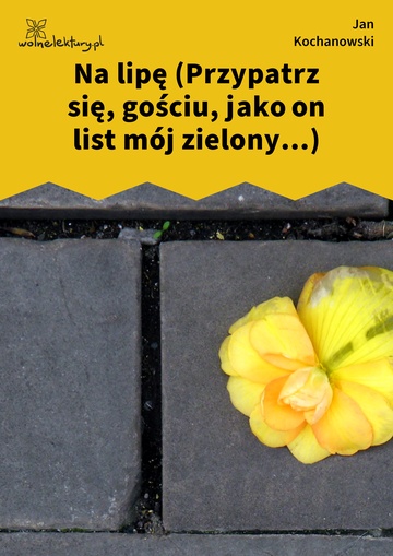 Jan Kochanowski, Fraszki, Księgi trzecie, Na lipę (Przypatrz się, gościu, jako on list mój zielony...)