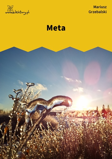 Mariusz Grzebalski, Drugie dotknięcie, Drugie dotknięcie, Meta