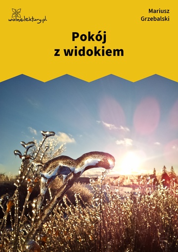 Mariusz Grzebalski, Drugie dotknięcie, Drugie dotknięcie, Pokój z widokiem