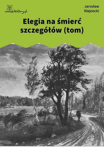 Elegia na śmierć szczegółów (tom)