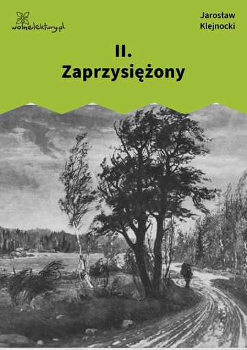 Jarosław Klejnocki, Elegia na śmierć szczegółów (tom), II. Zaprzysiężony
