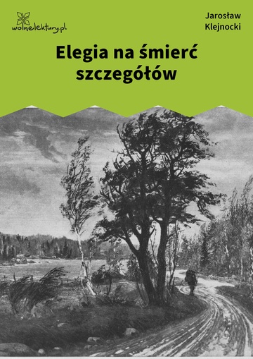 Jarosław Klejnocki, Elegia na śmierć szczegółów (tom), I. Ciemna zasłona, mętne zwierciadło, Elegia na śmierć szczegółów