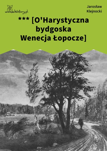 Jarosław Klejnocki, Elegia na śmierć szczegółów (tom), I. Ciemna zasłona, mętne zwierciadło, *** [O'Harystyczna bydgoska Wenecja Łopocze]