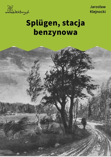 Jarosław Klejnocki, Elegia na śmierć szczegółów (tom), II. Zaprzysiężony, Splügen, stacja benzynowa
