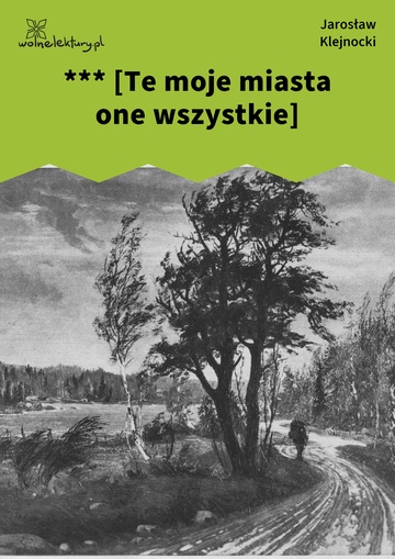 Jarosław Klejnocki, Elegia na śmierć szczegółów (tom), I. Ciemna zasłona, mętne zwierciadło, *** [Te moje miasta one wszystkie]