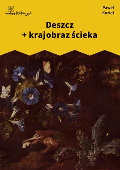 Paweł Kozioł, Czarne kwiaty dla wszystkich, Deszcz + krajobraz ścieka