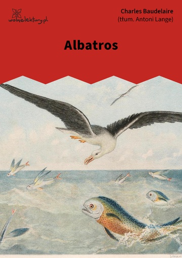 Charles Baudelaire, Kwiaty zła, Albatros