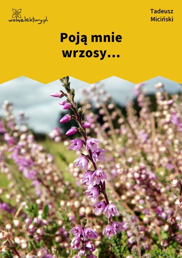 Tadeusz Miciński, W mroku gwiazd, W pośród Raju, Poją mnie wrzosy...