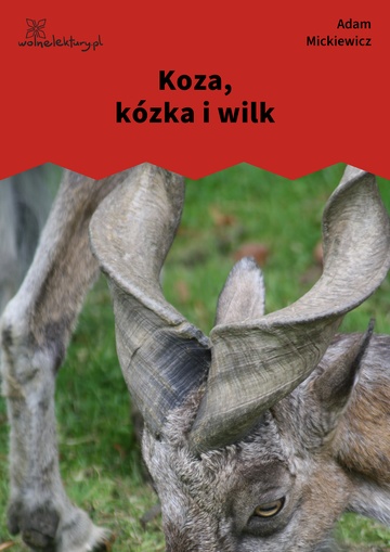 Koza, kózka i wilk