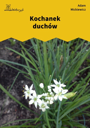 Kochanek duchów