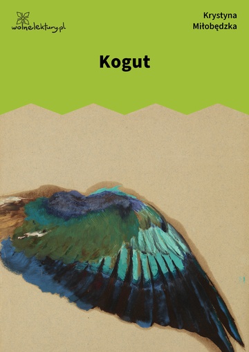 Krystyna Miłobędzka, Pokrewne, Kogut