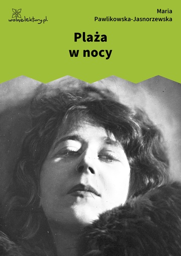 Plaża w nocy
