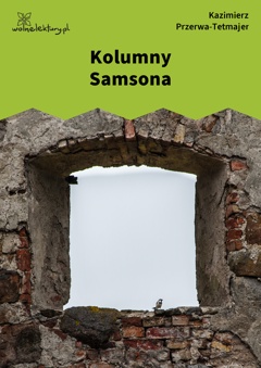 Kolumny Samsona