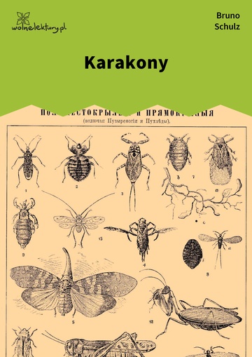 Karakony