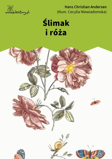 Ślimak i róża