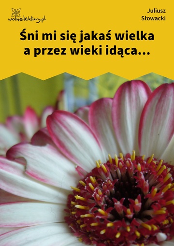 Śni mi się jakaś wielka a przez wieki idąca...