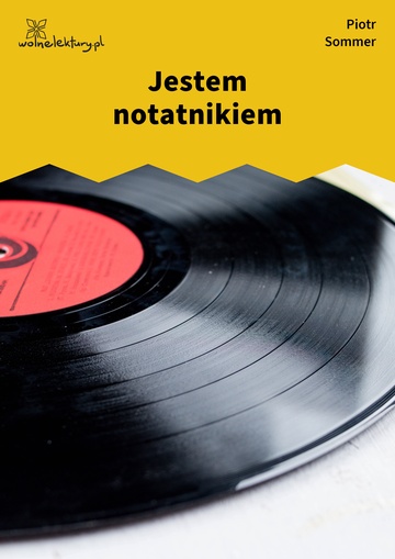 Piotr Sommer, Pamiątki po nas, Jestem notatnikiem