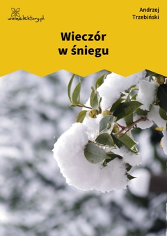 Andrzej Trzebiński, Wieczór w śniegu