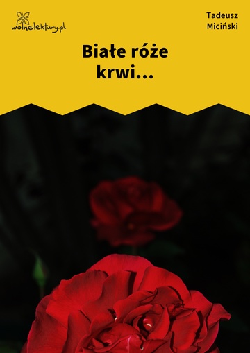 Tadeusz Miciński, W mroku gwiazd, Białe róże krwi, Białe róże krwi...