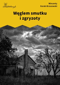 Wincenty Korab-Brzozowski, Węglem smutku i zgryzoty