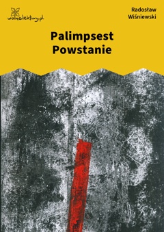 Radosław Wiśniewski, Palimpsest Powstanie