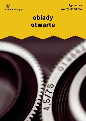 Agnieszka Wolny-Hamkało, Nikon i Leica, obiady otwarte