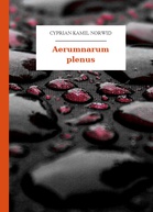 Cyprian Kamil Norwid – Aerumnarum plenus