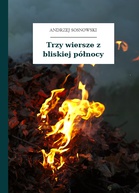 Andrzej Sosnowski – Trzy wiersze z bliskiej północy