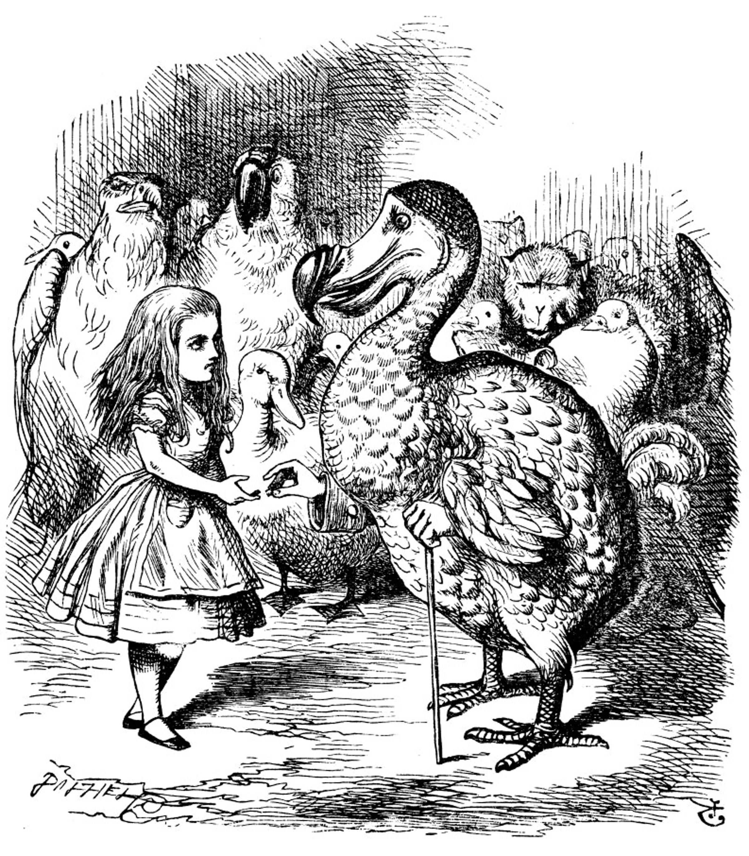 Alicja z Ptakiem Dodo