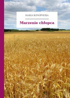 Maria Konopnicka, Poezje dla dzieci do lat 7, część I, Marzenie chłopca
