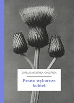Zofia Daszyńska-Golińska, Prawo wyborcze kobiet