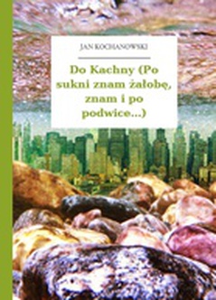 Jan Kochanowski, Fraszki, Księgi trzecie, Do Kachny (Po sukni znam żałobę, znam i po podwice...)
