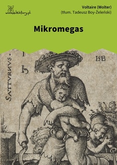 Voltaire (Wolter), Mikromegas