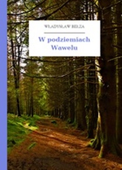 Władysław Bełza, Katechizm polskiego dziecka (zbiór), W podziemiach Wawelu