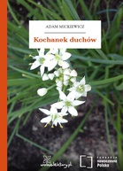 Podgląd okładki
