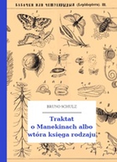 Bruno Schulz, Sklepy cynamonowe (zbiór), Traktat o Manekinach
albo wtóra księga rodzaju